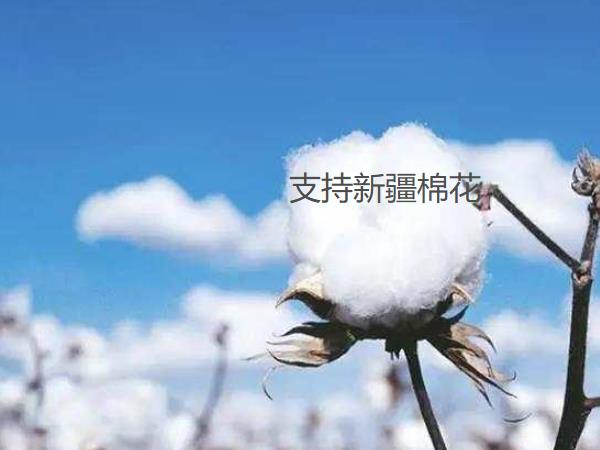 91香蕉APP下载阀门